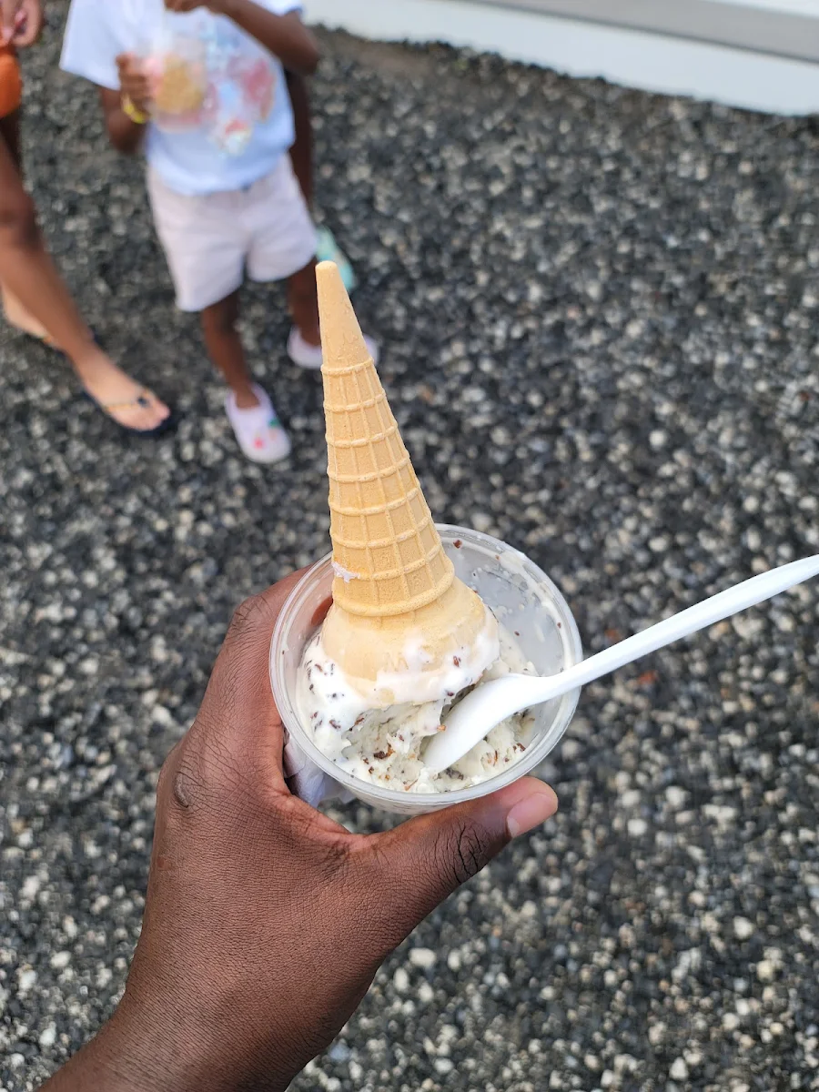 Chocolate Toasted Coconut