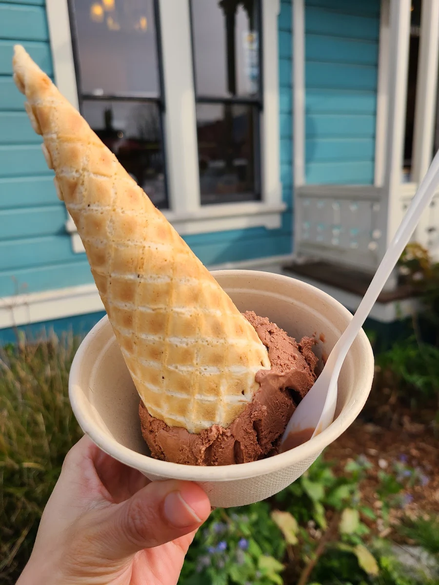 Chocolate Ice Cream