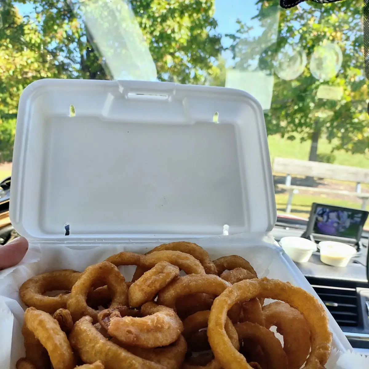Onion Rings