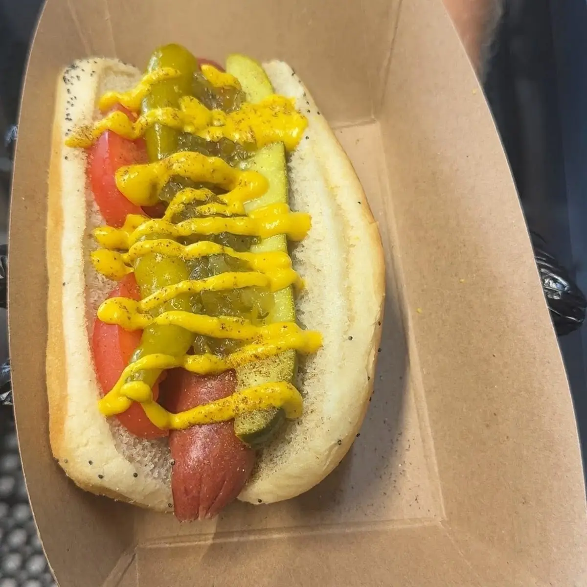 Chicago Style Hot Dog
