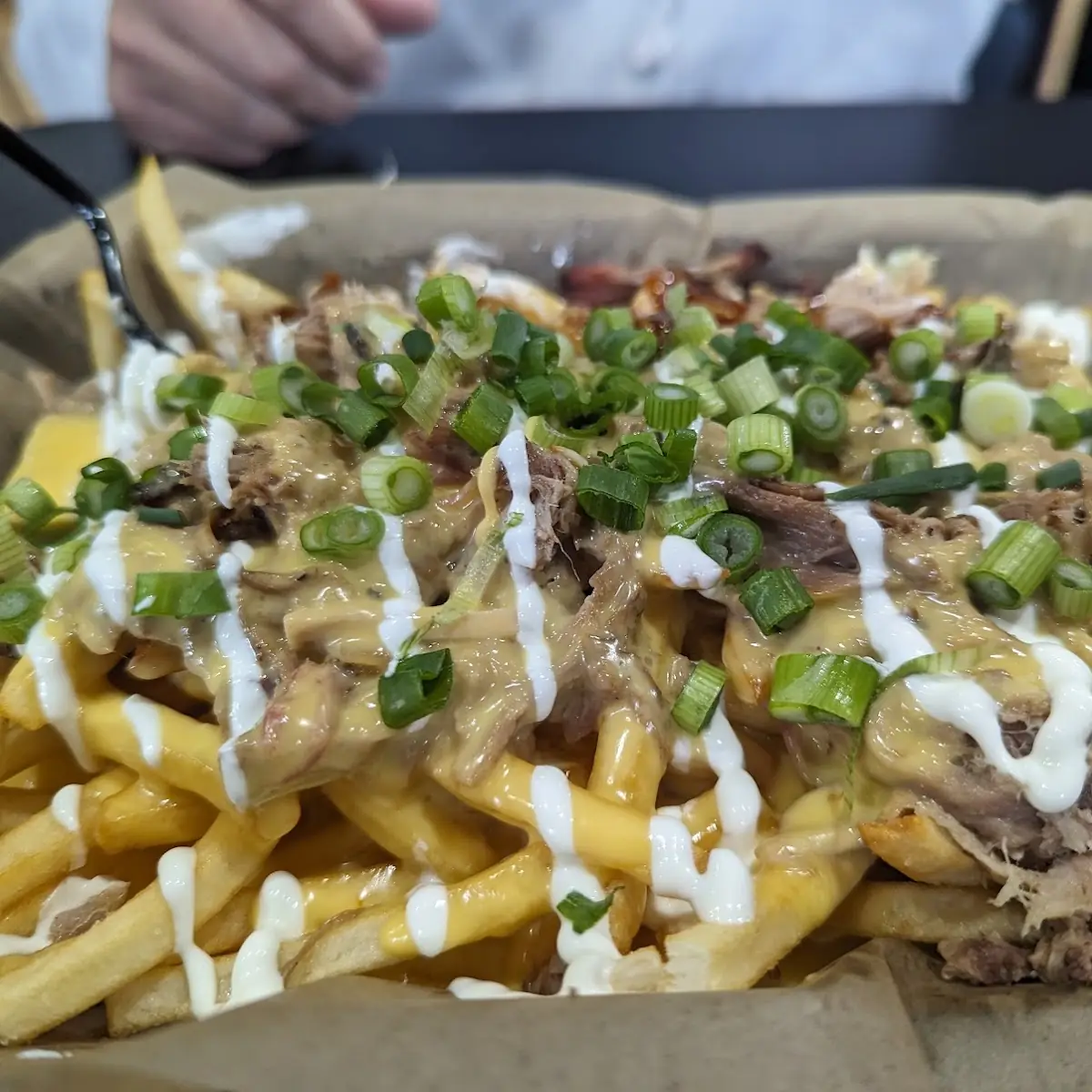 Loaded Fries with Pulled Pork