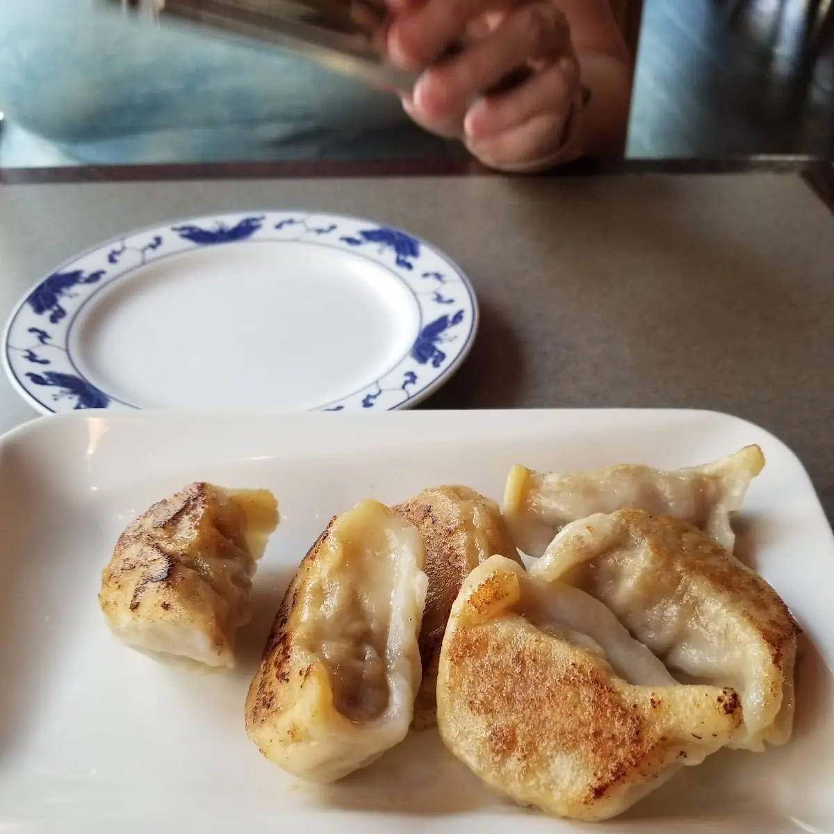Pot Stickers 6
