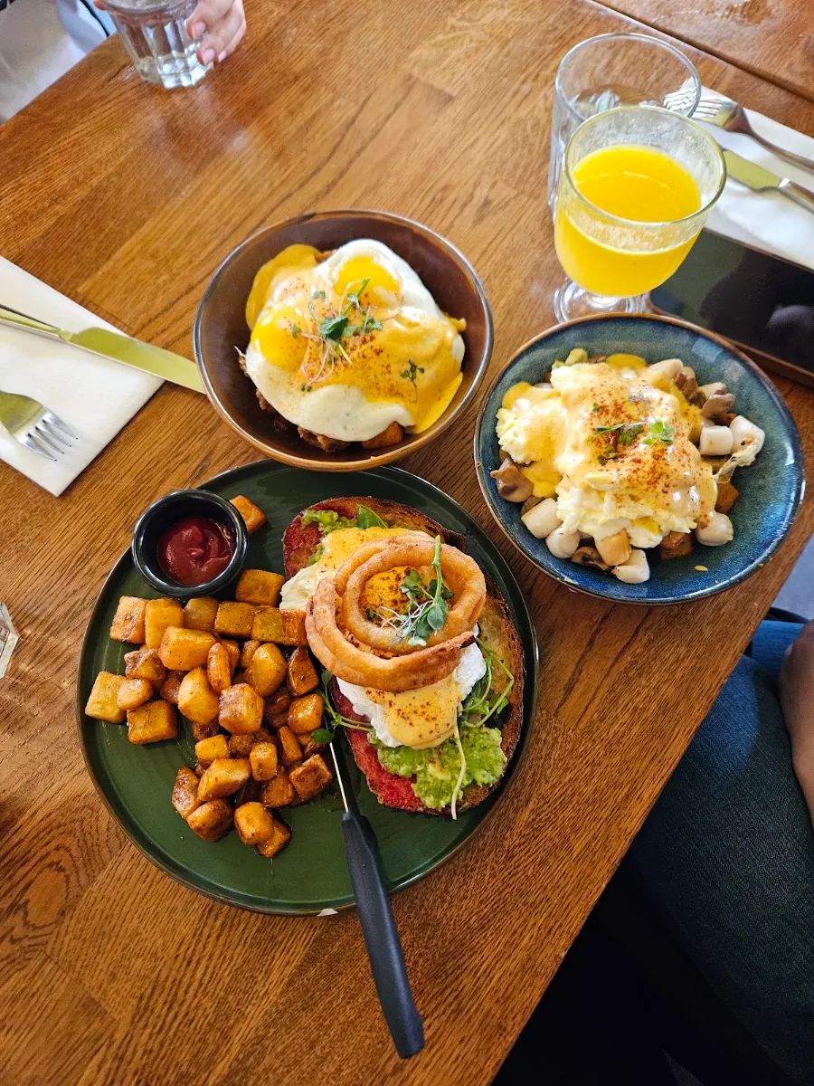 Avocado Benny