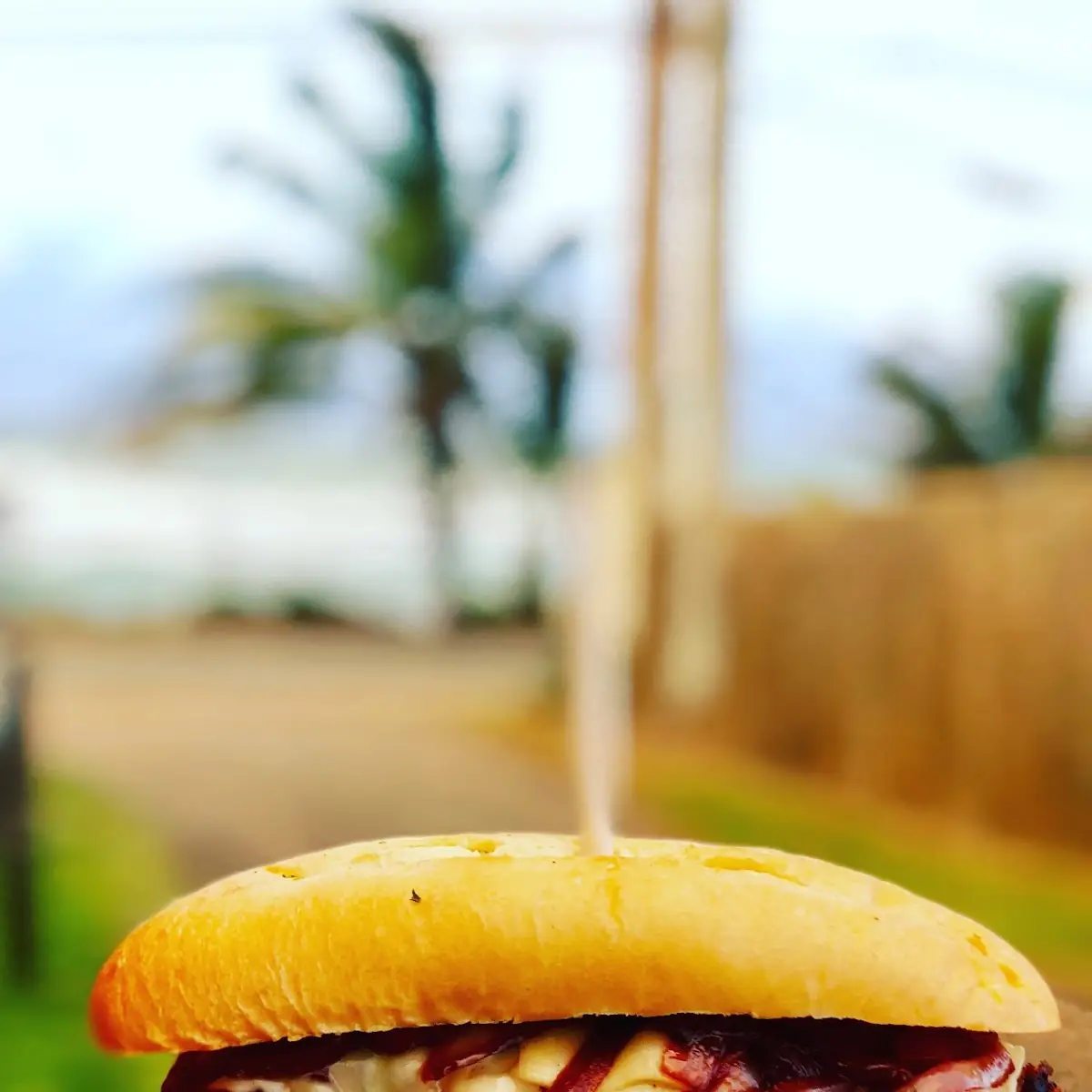 Brisket Sandwich