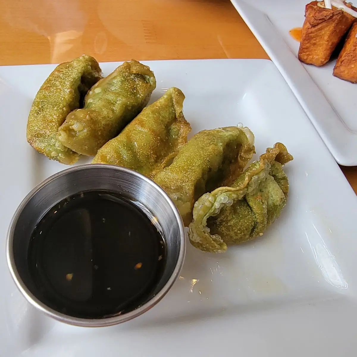 Fried Veg Dumplings