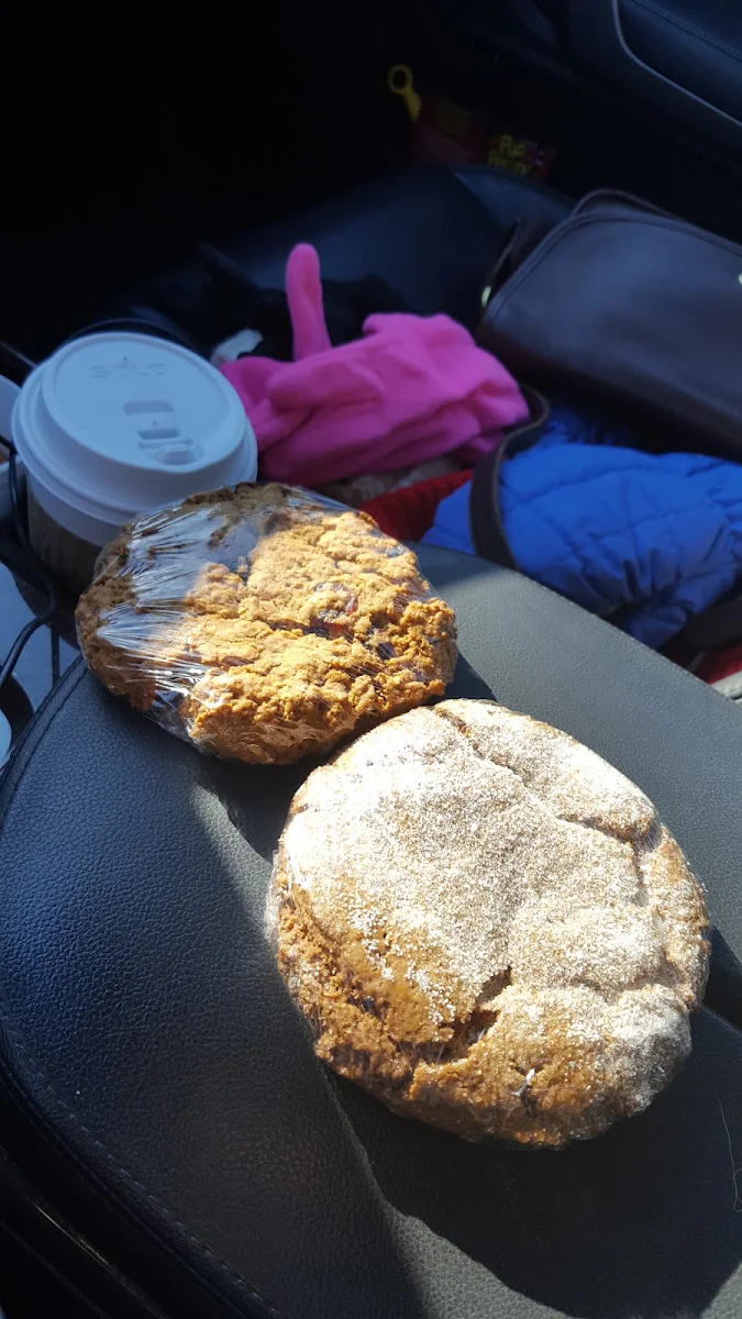 Cranberry Walnut Muffin