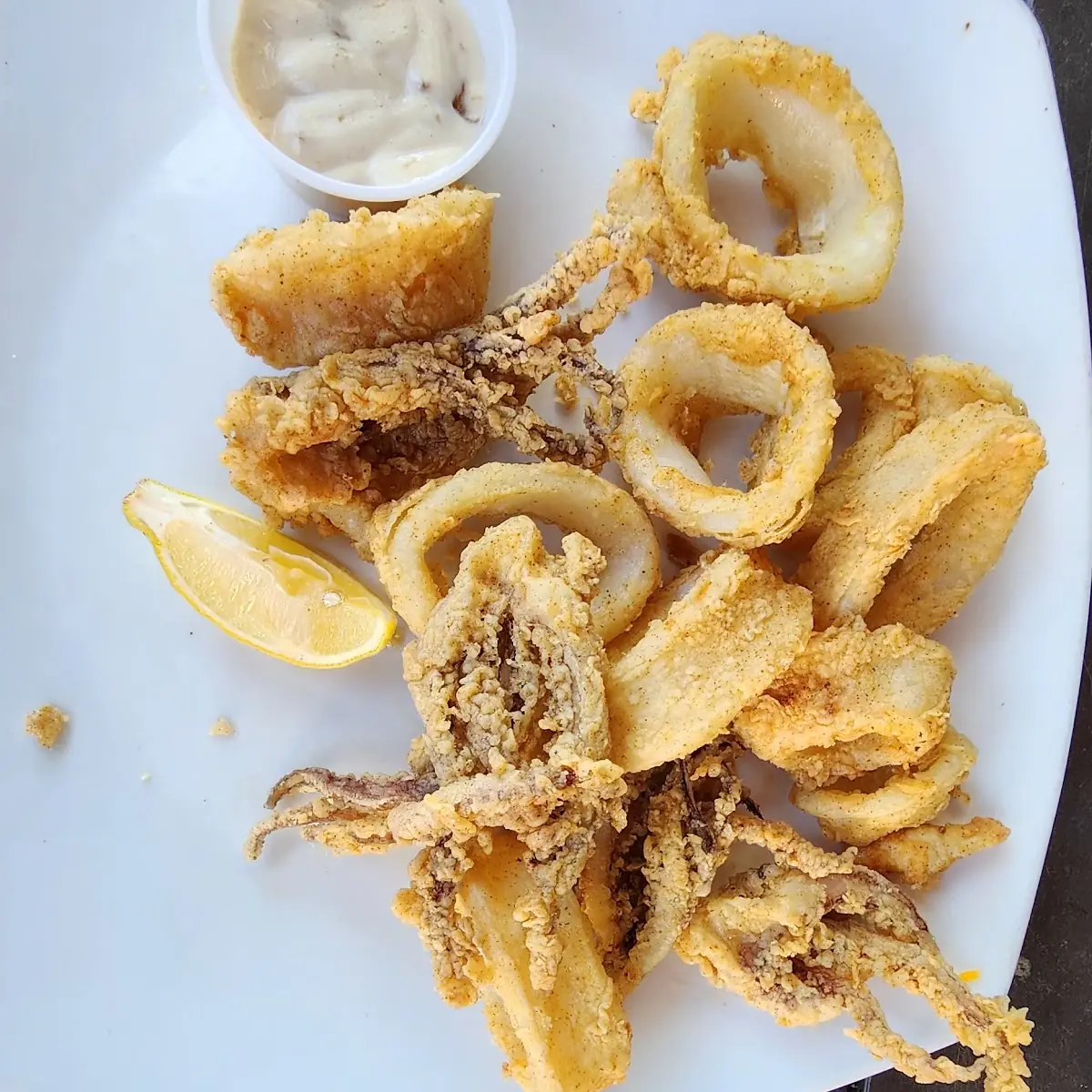 Fried Calamari