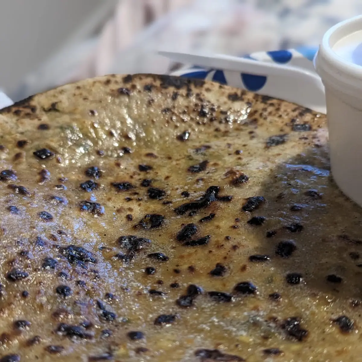 Gobi Paratha