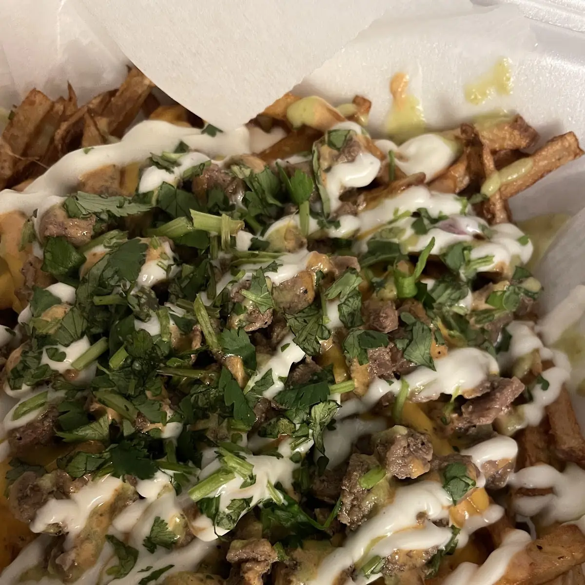 Carne Asada Fries