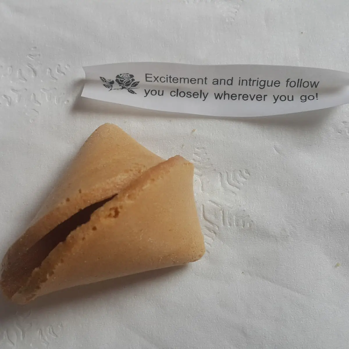 Fortune Cookie