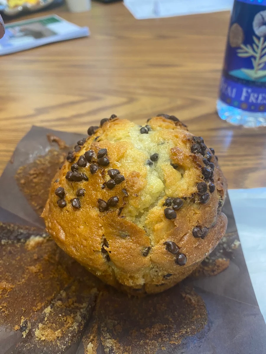 Chocolate Chip Muffin