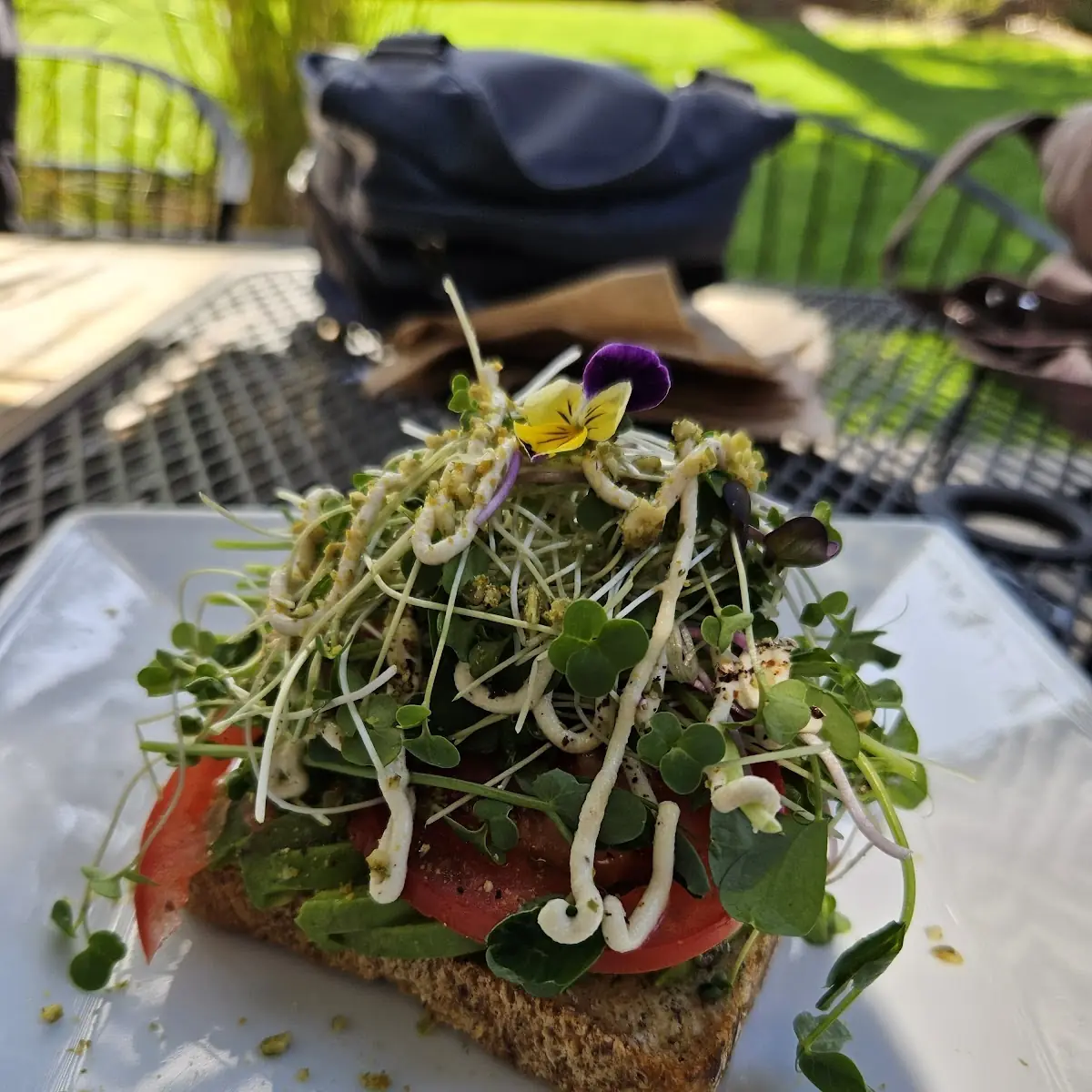 Avocado Toast