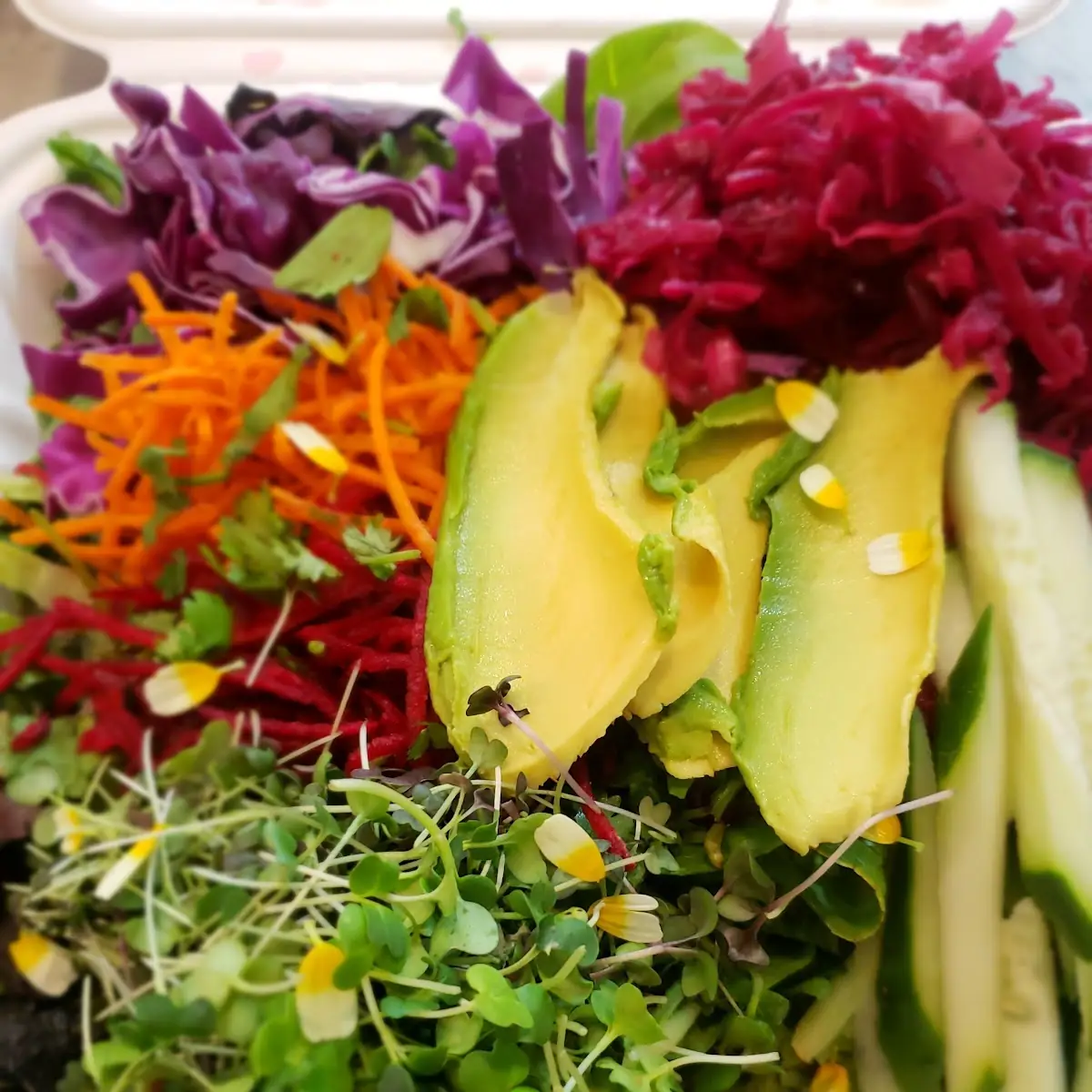 Rainbow Salad
