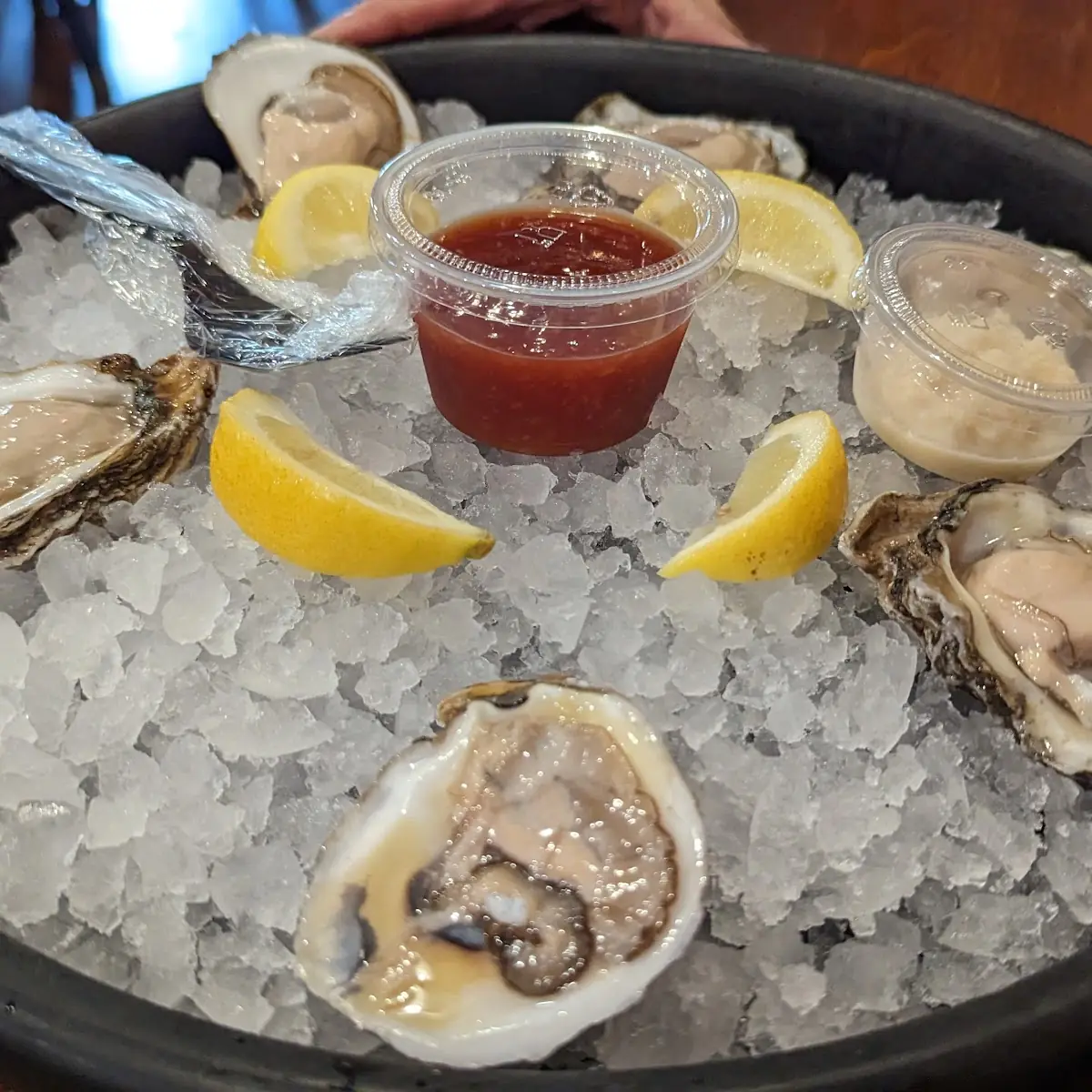 Oysters on the Half Shelf