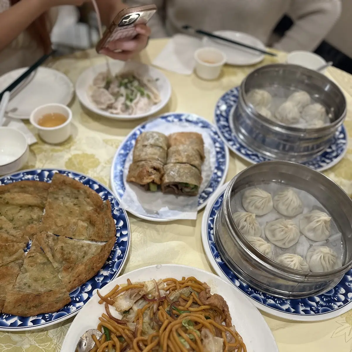 Juicy Pork Dumplings