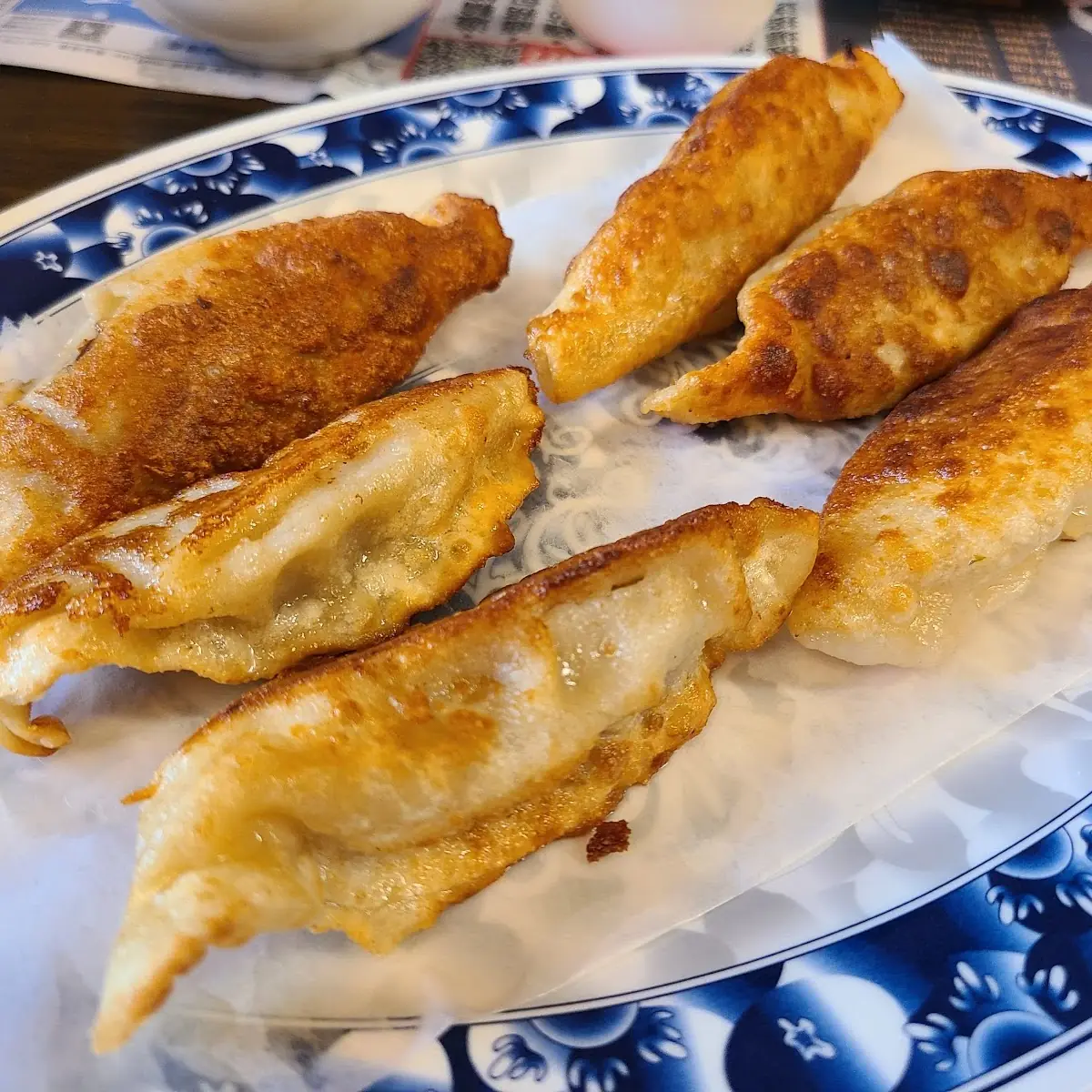 Pan Fried Dumplings and Scallion Pancake
