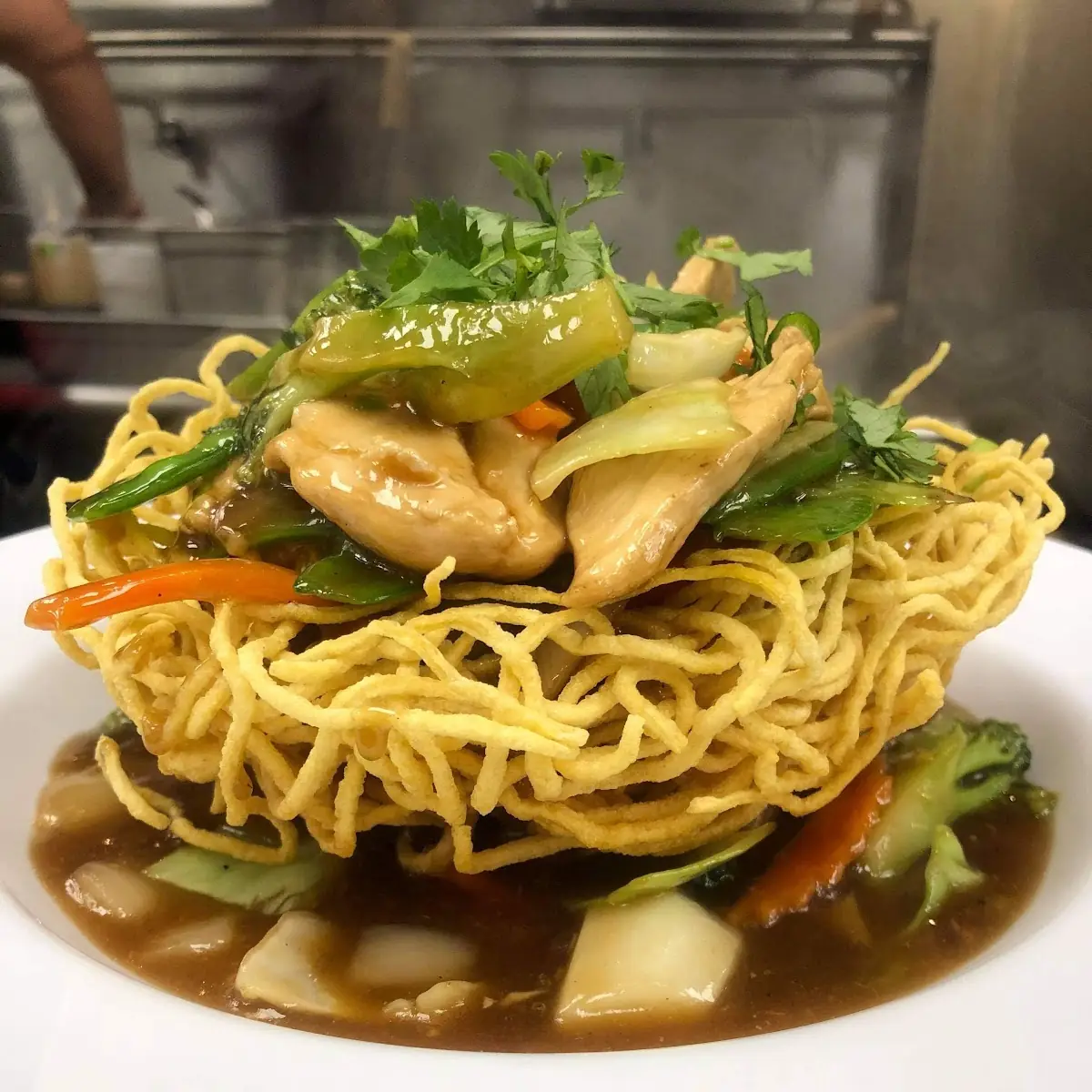 Chicken Bird Nest