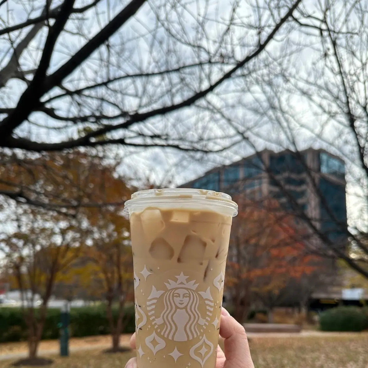 Sweet Cream Cold Brew Iced Coffee