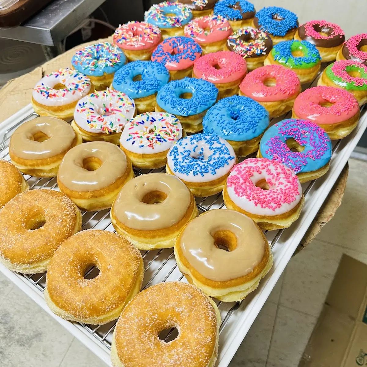 Doughnut