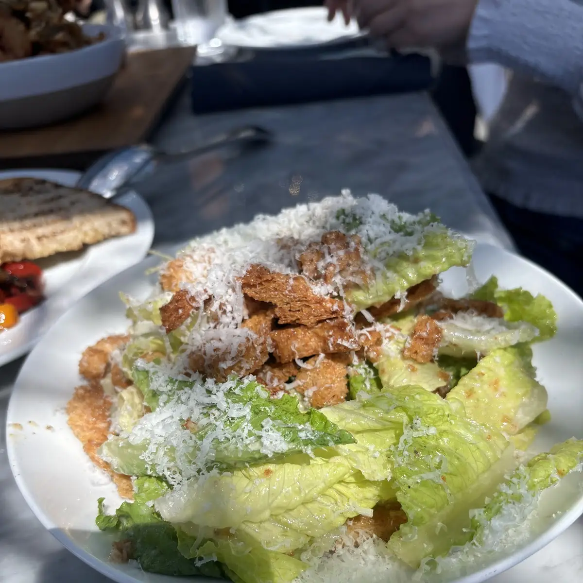 Grilled Salmon Caesar Salad
