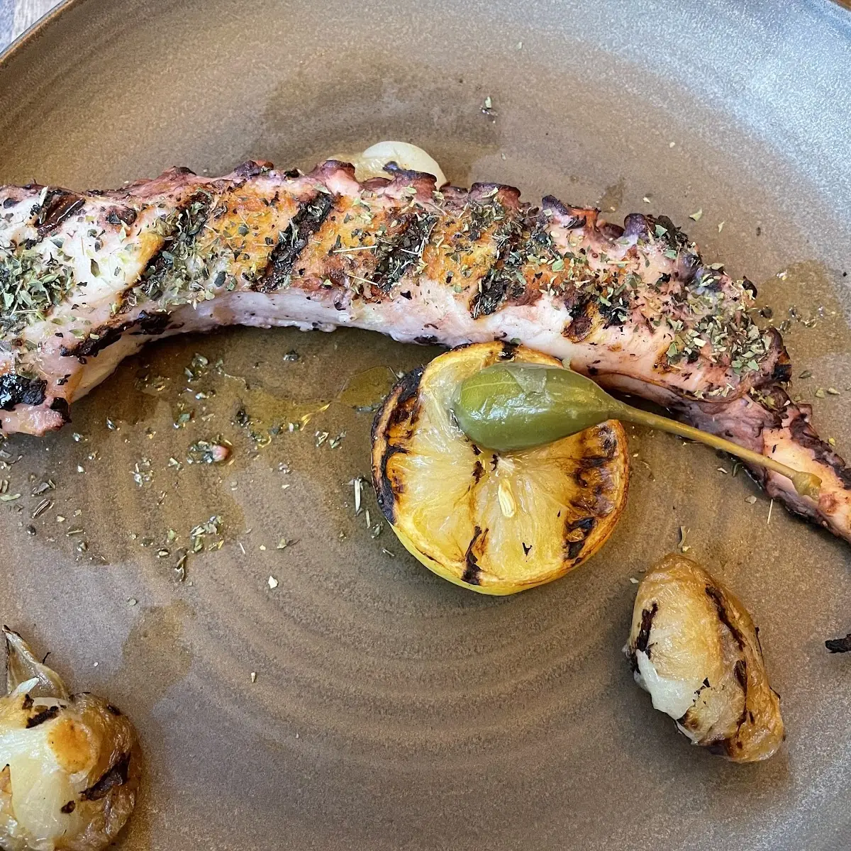 Grilled Octopus