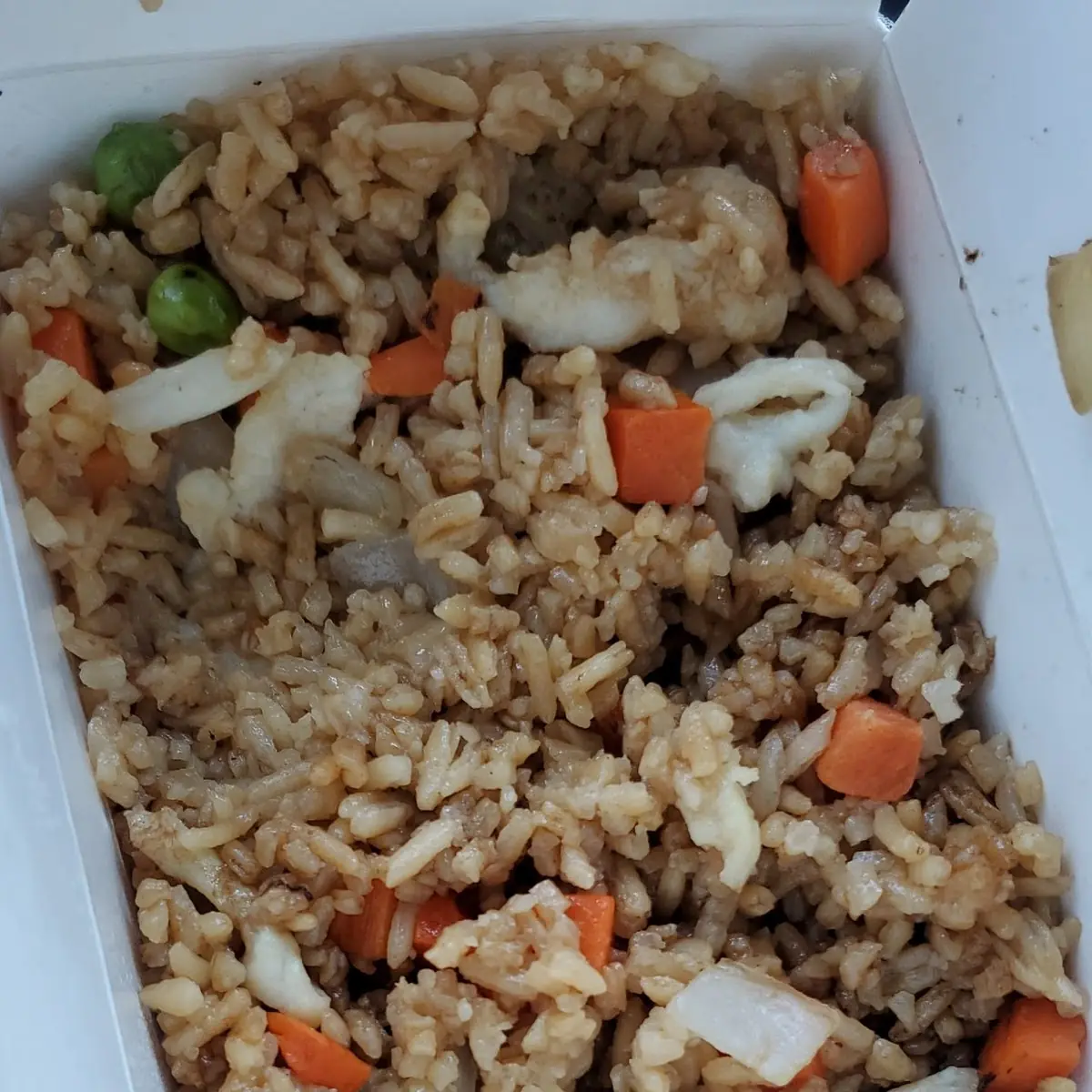 Fried Rice Chicken