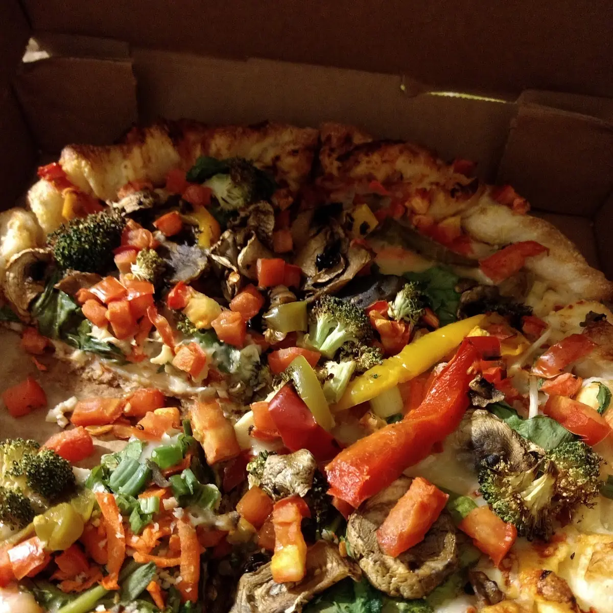 Vegetarian Pizza