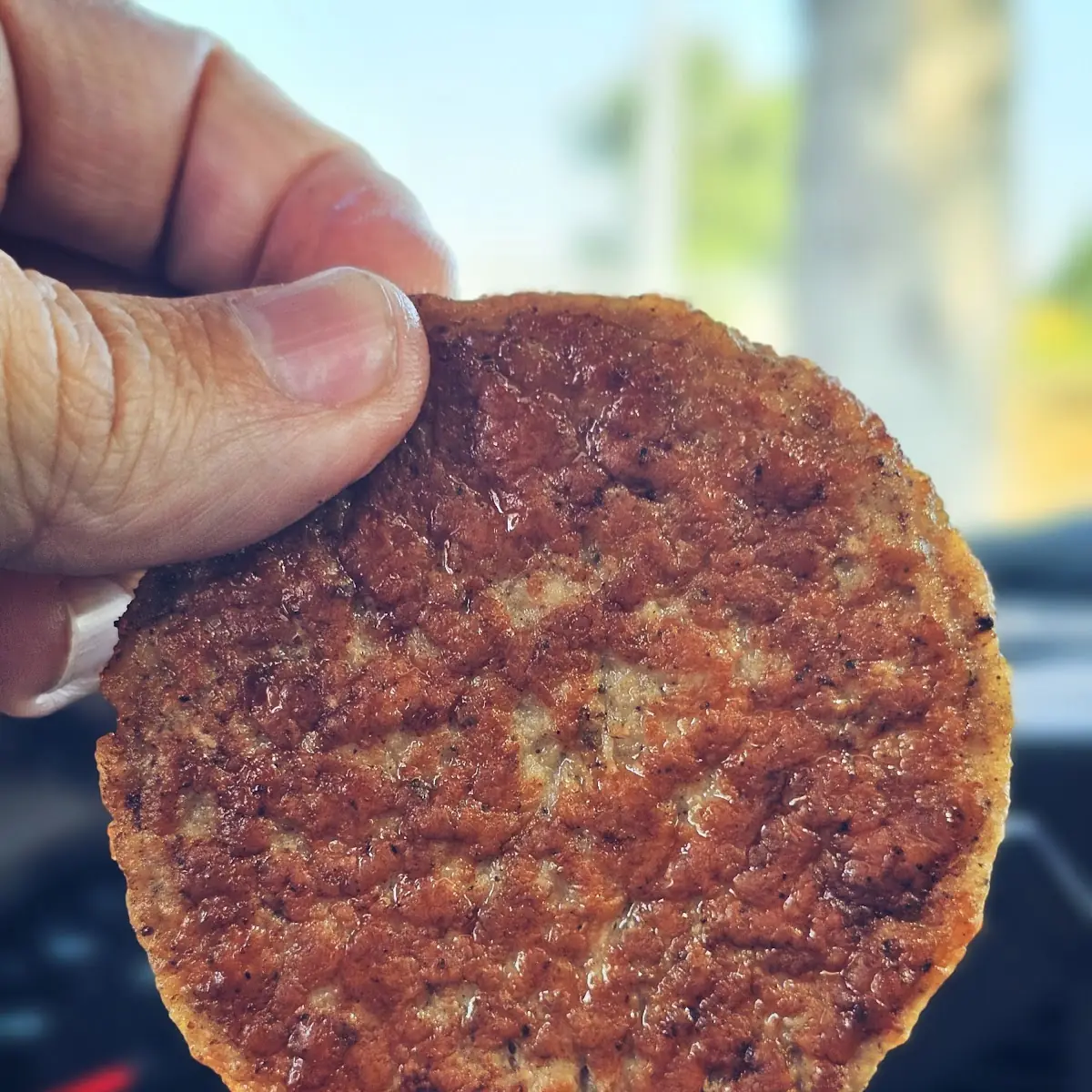 Hamburger Patty