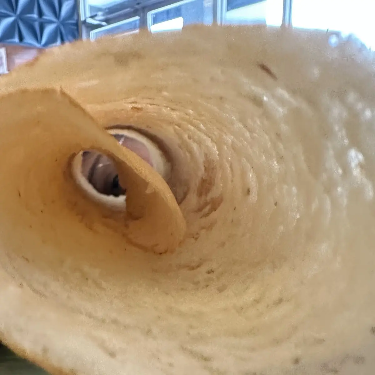 Plain Dosa