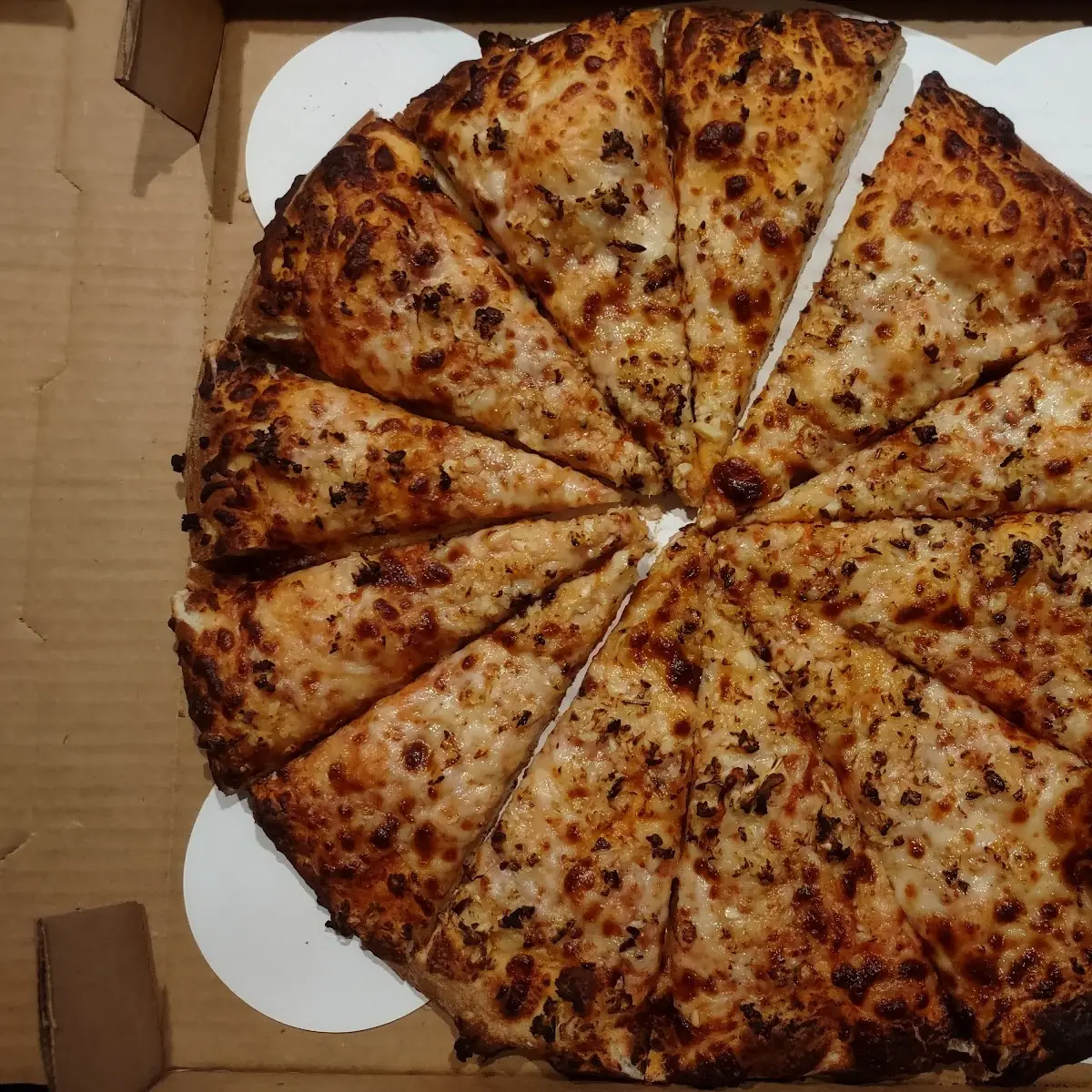 Cheese Pizza with Extra Garlic