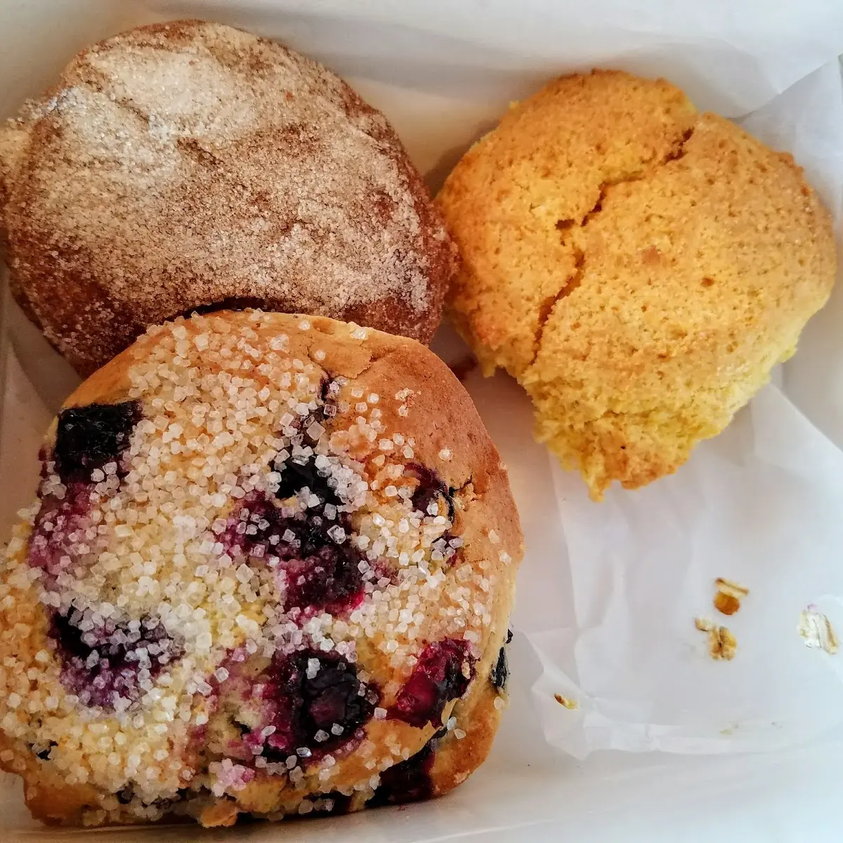 Assorted Muffins