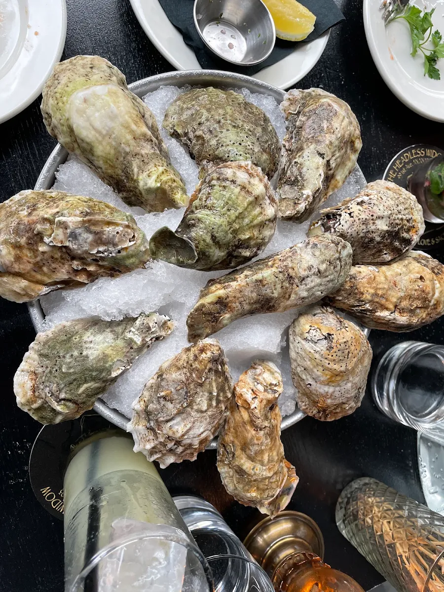 Oysters 6 on the Half Shell