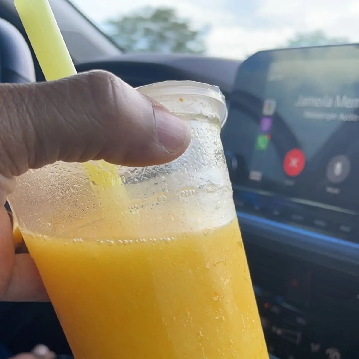 Slushies for Any Fruit Tea