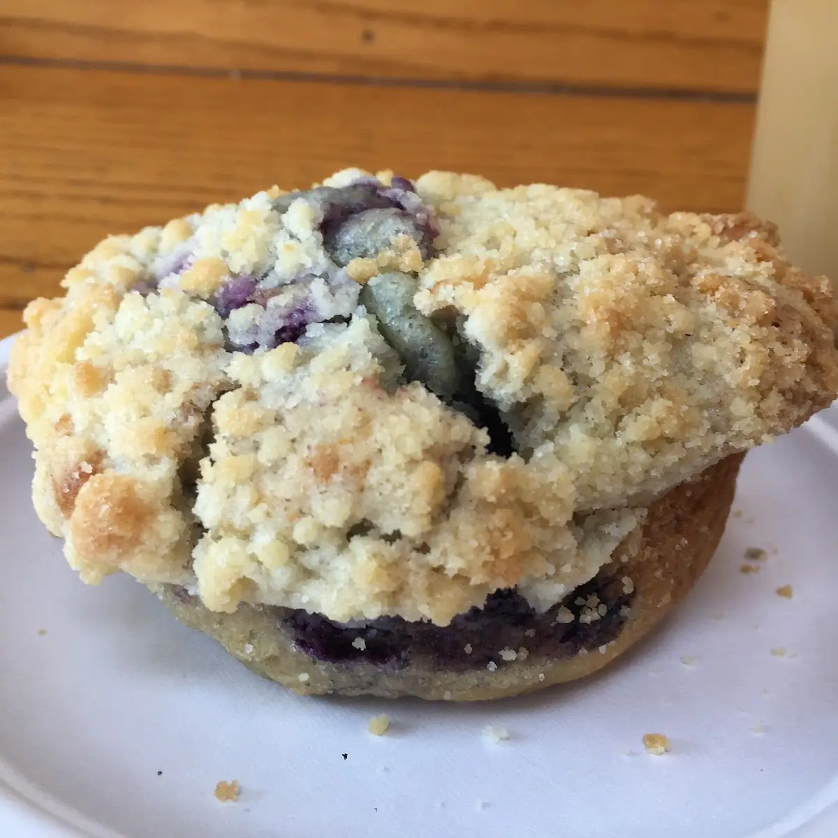 Blueberry Muffin