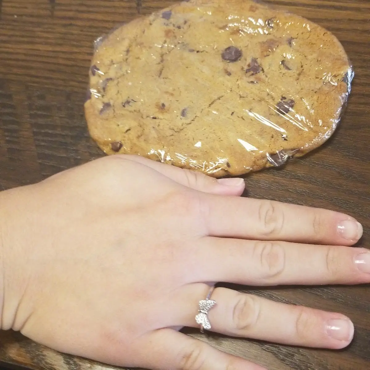 Monster Chocolate Chip Cookie