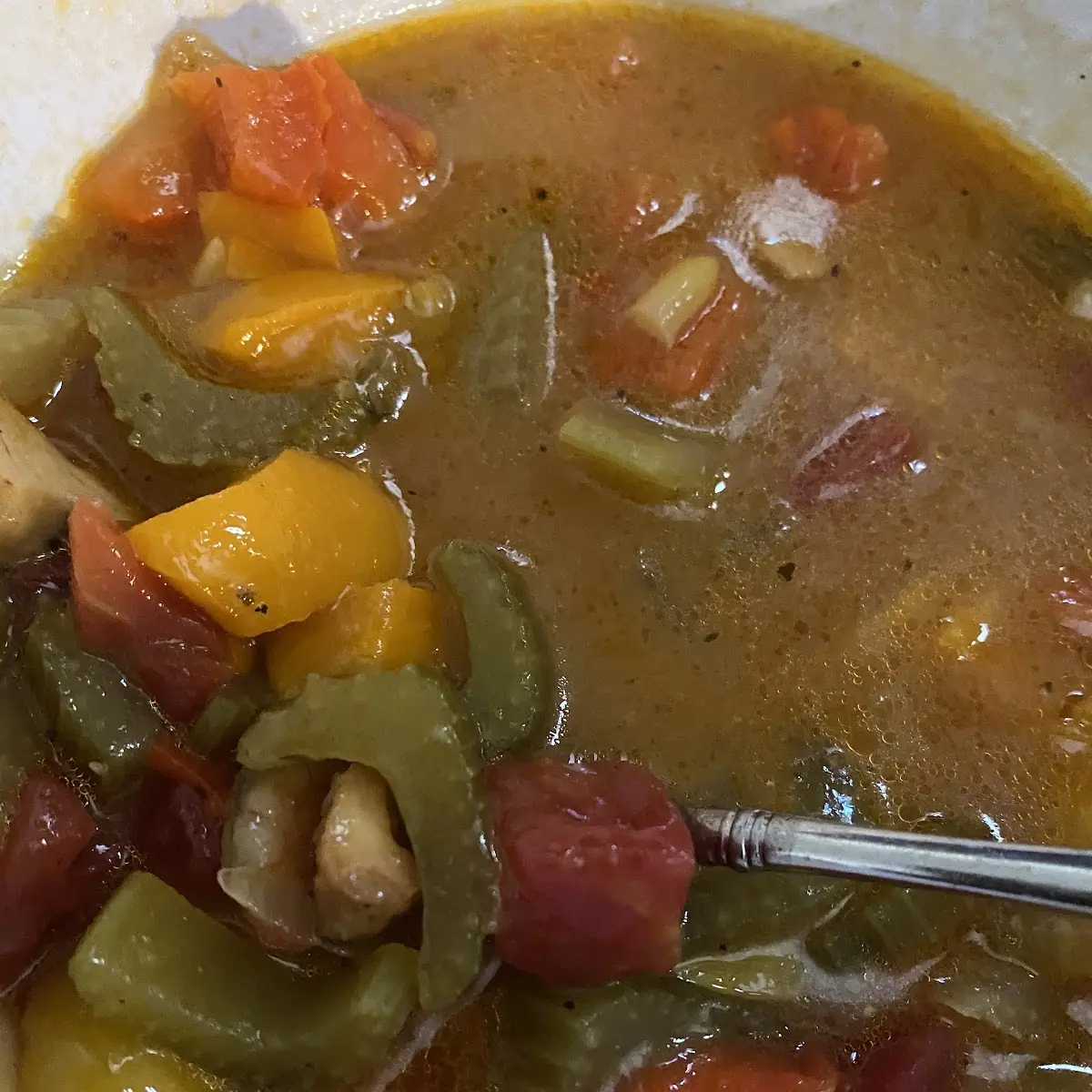 Vegetable Soup