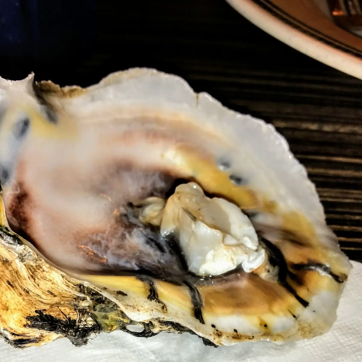 Oysters on the Half Shell