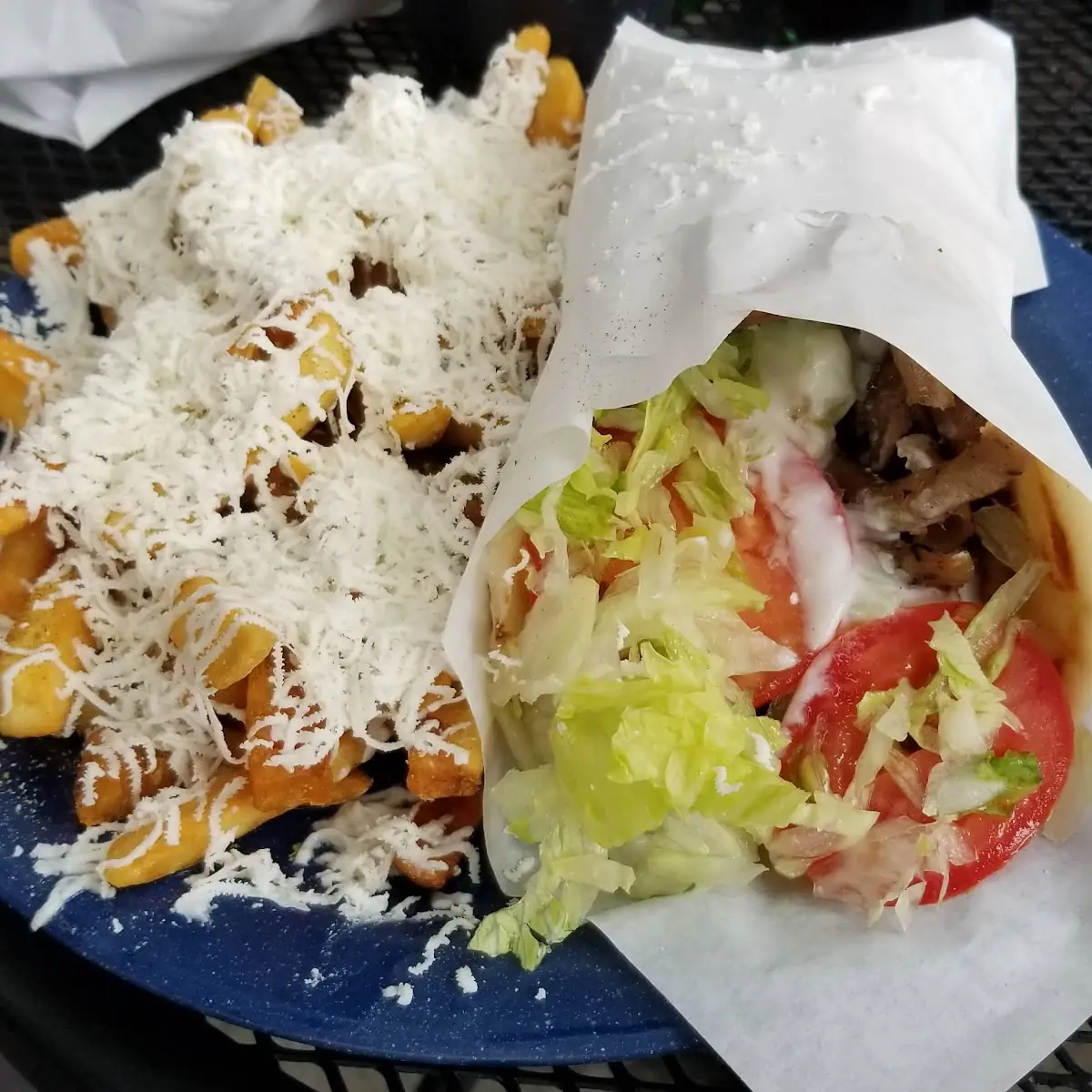Gyro Sandwich