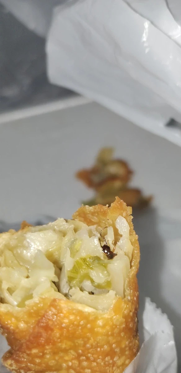 2 Egg Rolls