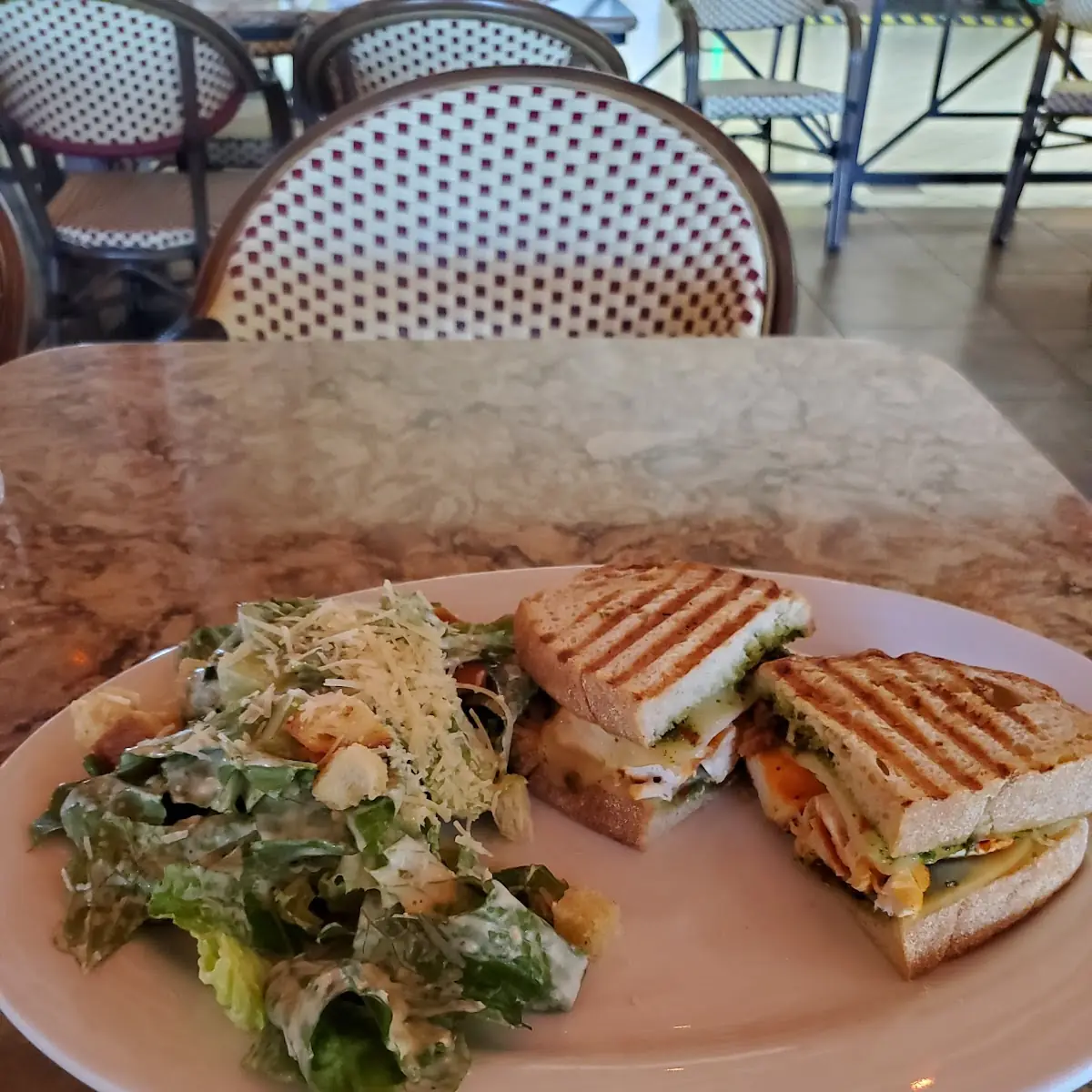 Chicken Pesto Panini