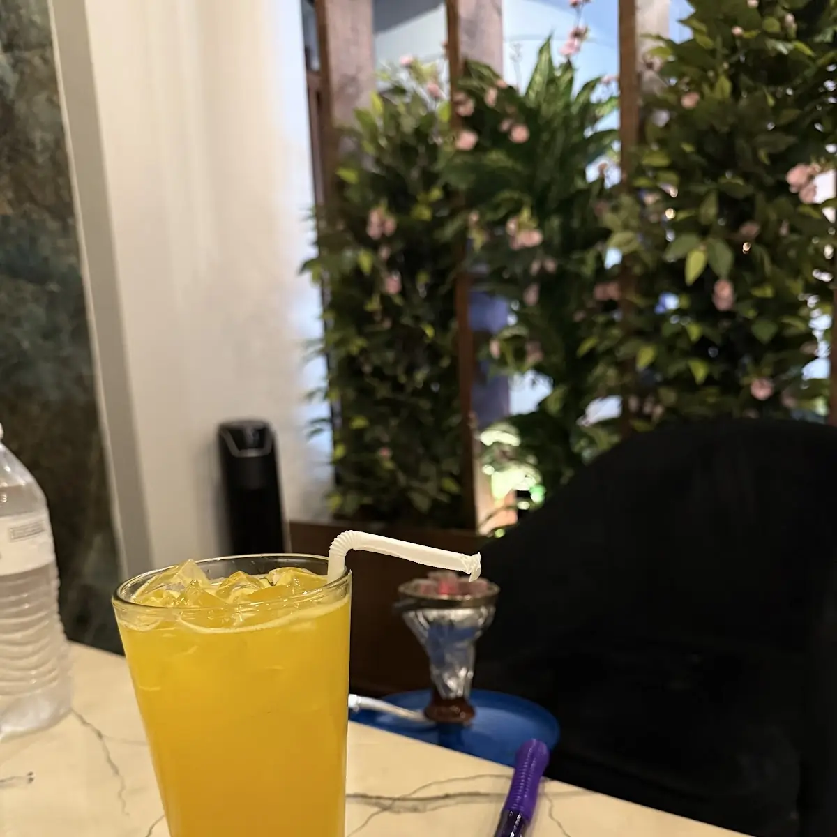 Mango Mojito