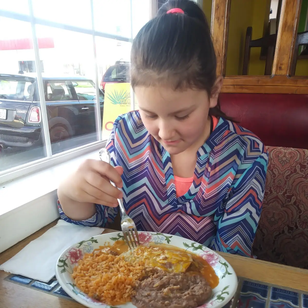 2 Chicken Enchiladas