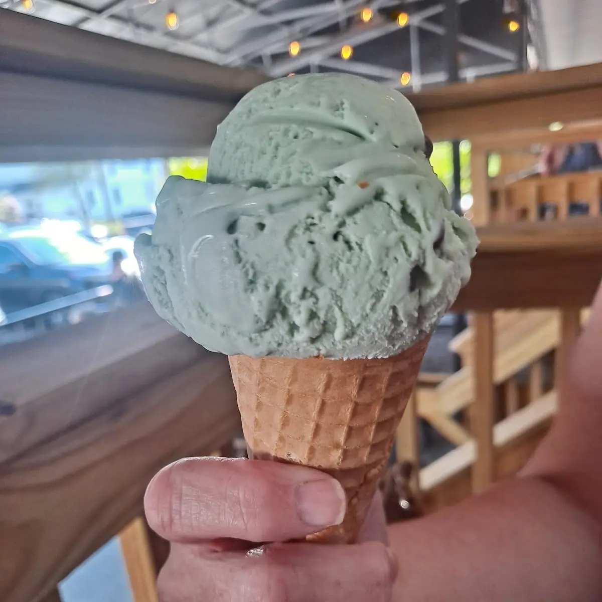 Mint Chocolate Chip Soy Lecithin
