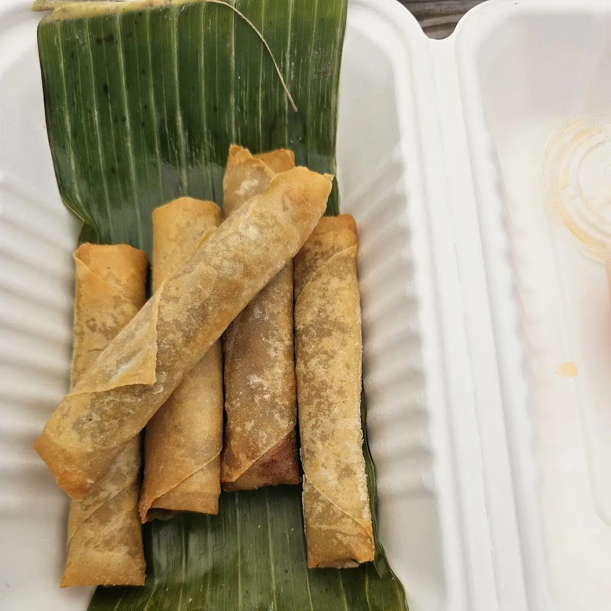 Plant Based Lumpia
