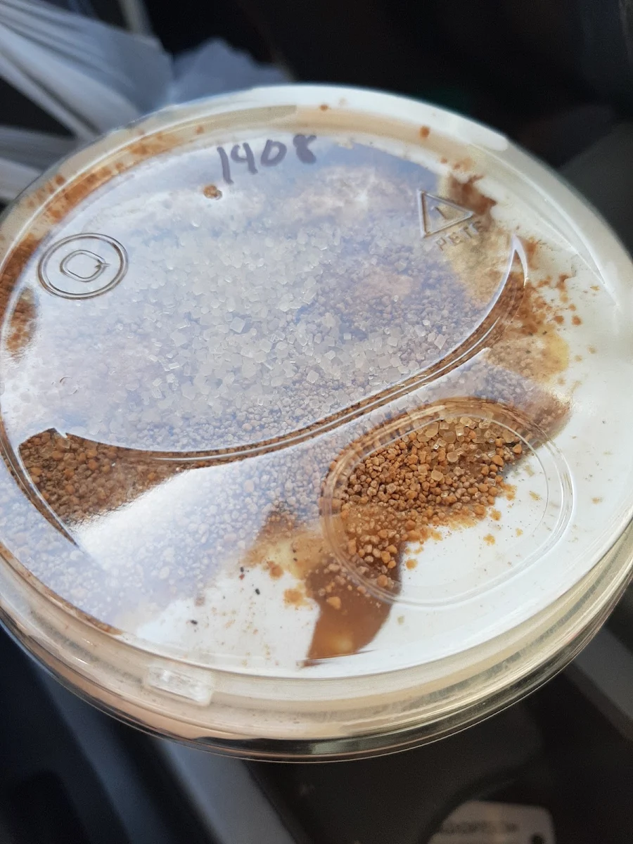 Pumpkin Pie Freeze