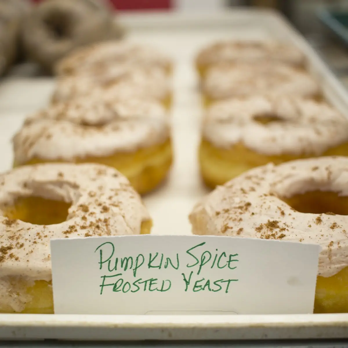 Pumpkin Spice Donuts