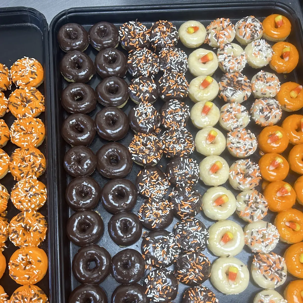 Doughnut