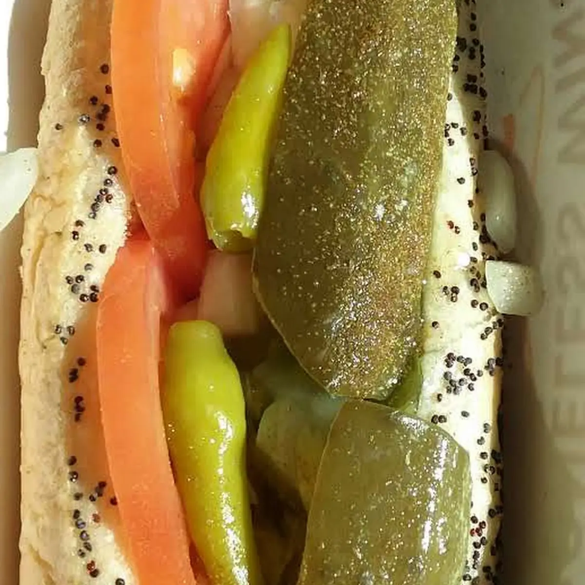 Chicago Dog