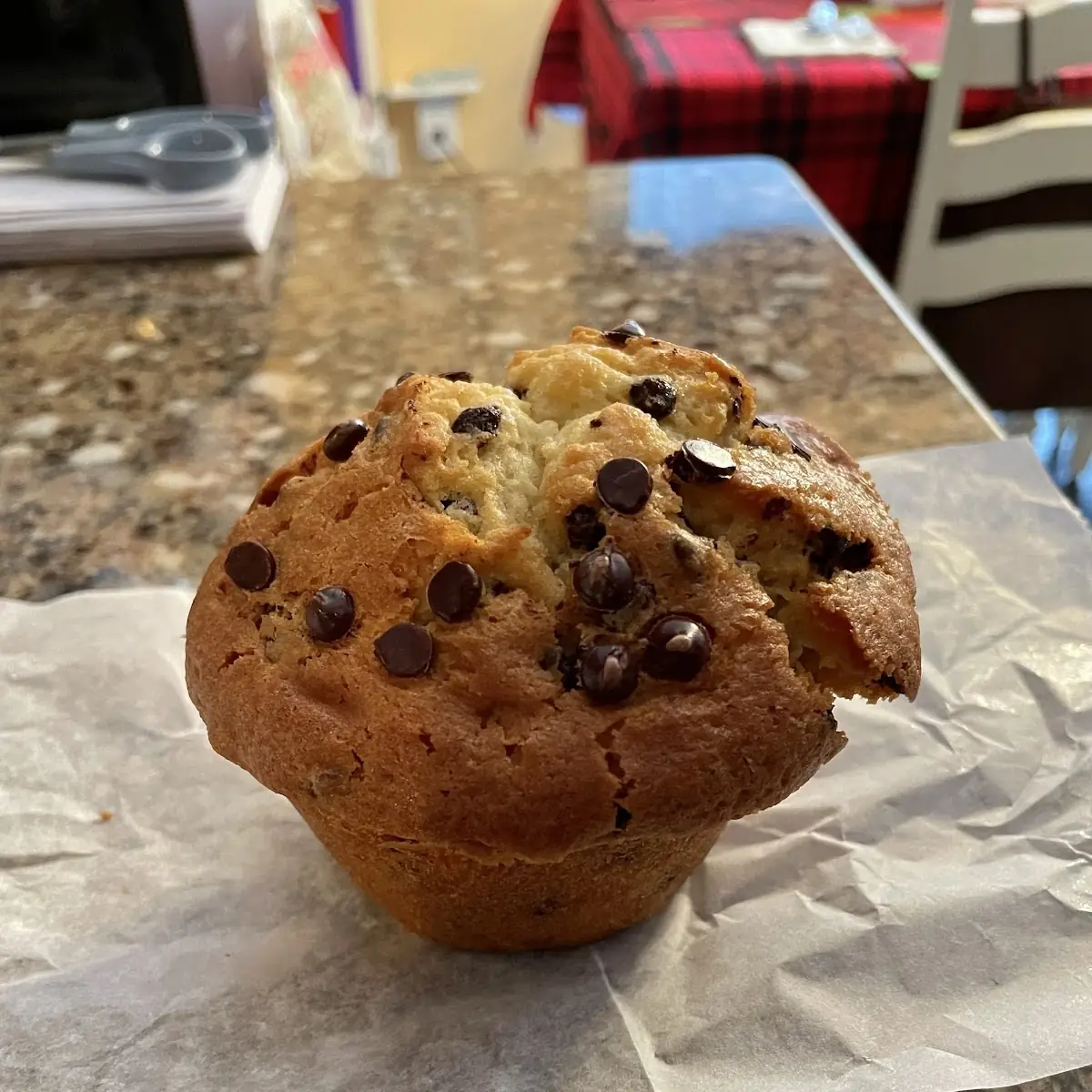 Chocolate Chip Muffin