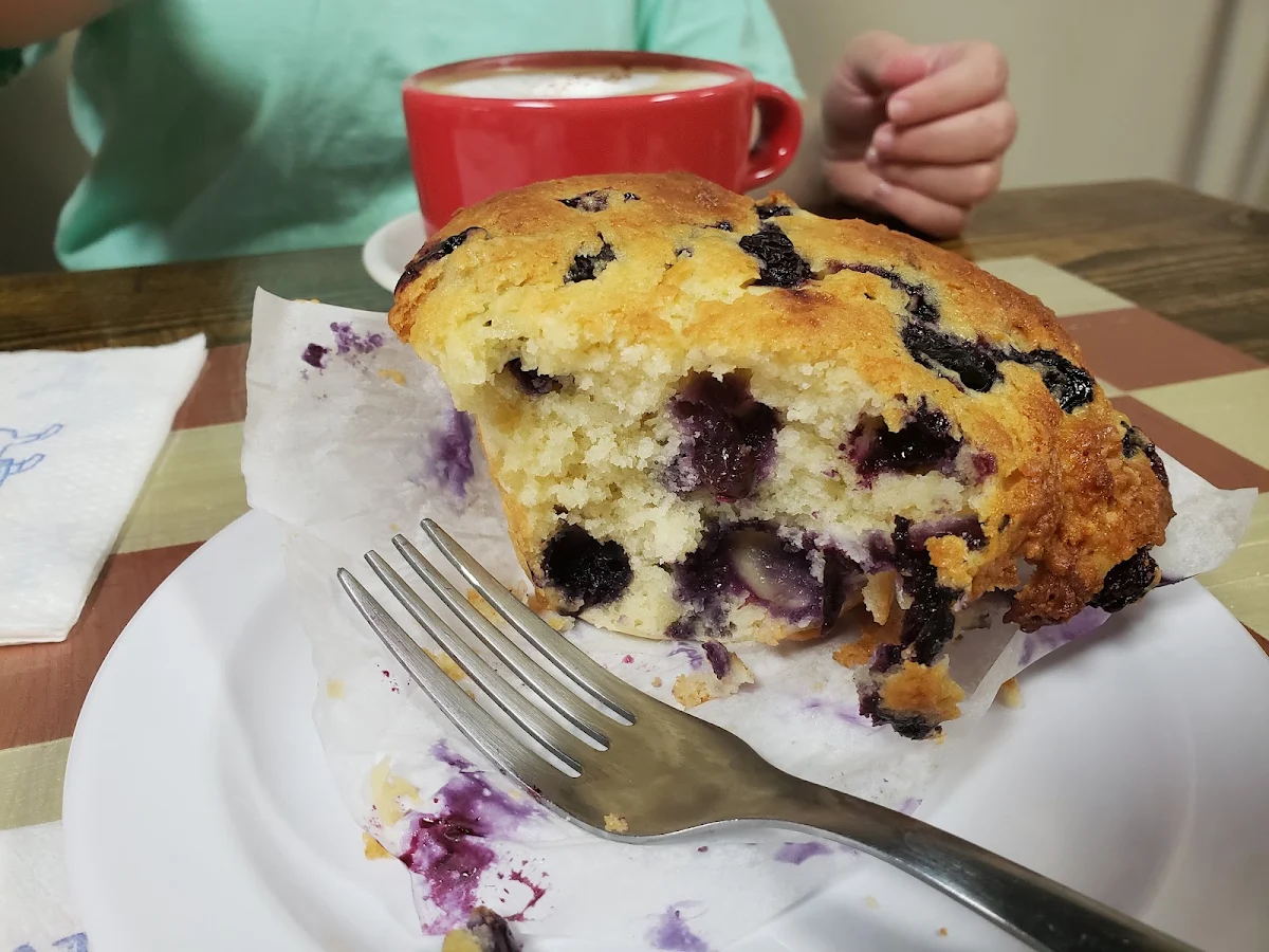 Blueberry Muffin